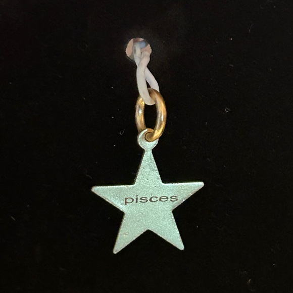 Charms Bundle (Zodiac) NWT. Any 12 for $20. - Picture 4 of 16